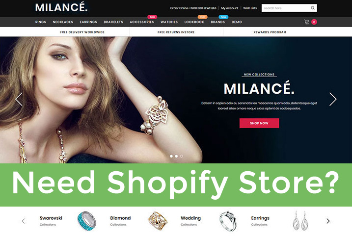 shopify online store