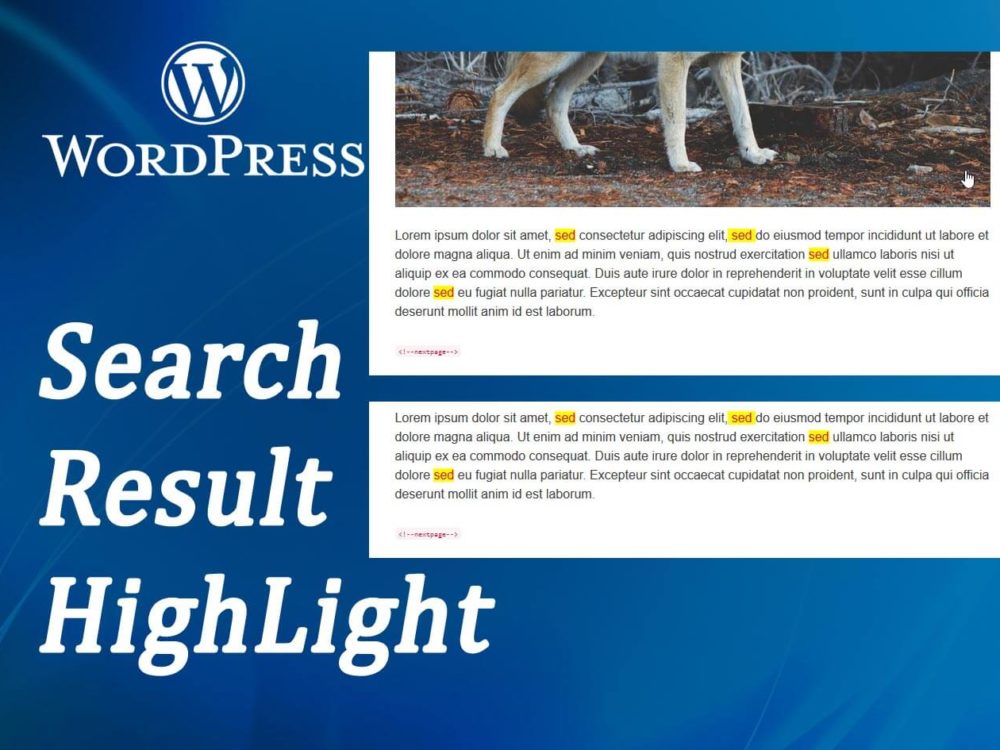 how-to-highlight-search-results-in-wordpress-skybootstrap