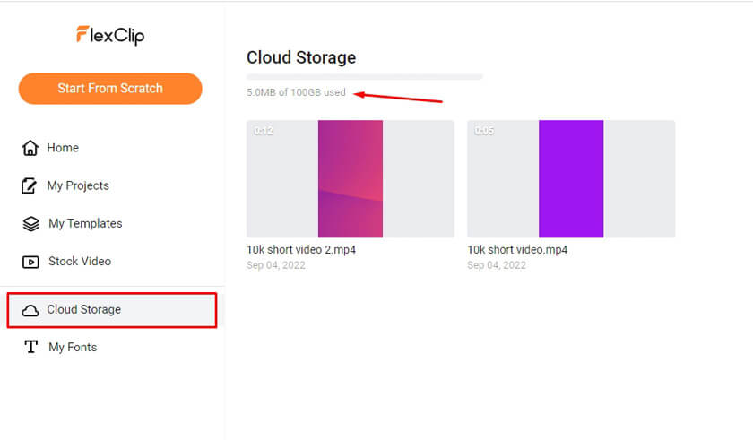 FlexClip Cloud Storage