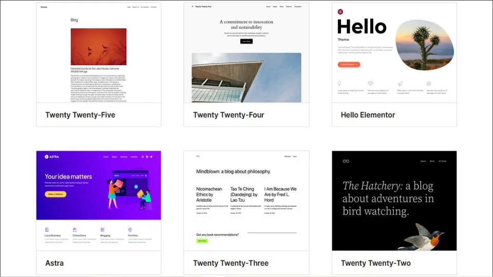 WordPress Themes