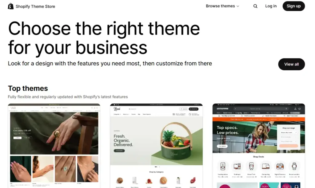 Shopify Theme